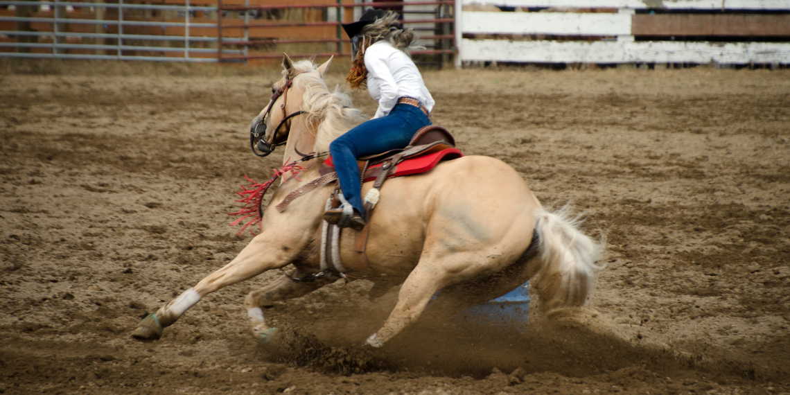 Elite Strides Racing Therapy Horse Equine