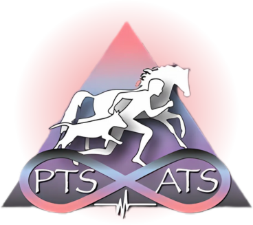 PTS ATS Icon